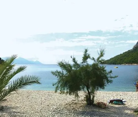 Kremena Small 200m Klek